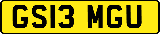GS13MGU