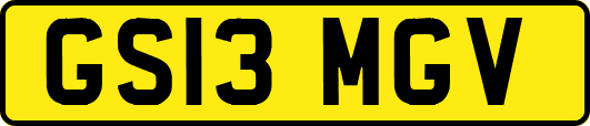 GS13MGV