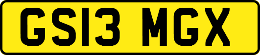 GS13MGX