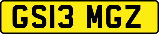 GS13MGZ