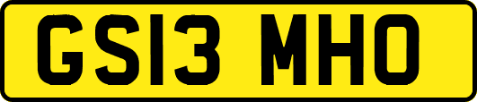 GS13MHO