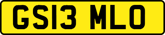 GS13MLO