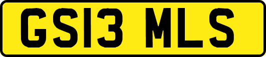 GS13MLS