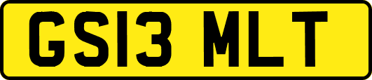 GS13MLT
