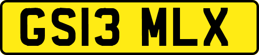 GS13MLX