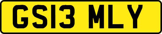 GS13MLY