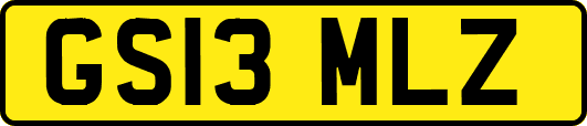 GS13MLZ