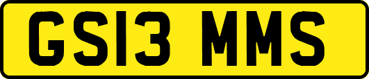 GS13MMS