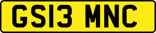 GS13MNC