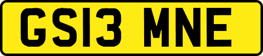 GS13MNE