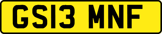 GS13MNF