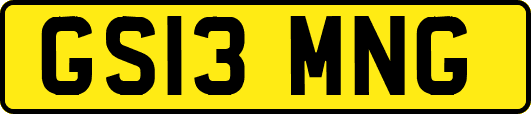 GS13MNG