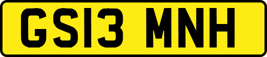 GS13MNH