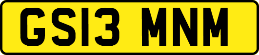 GS13MNM