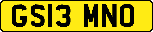 GS13MNO