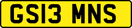 GS13MNS