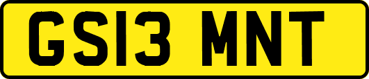 GS13MNT