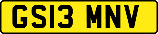 GS13MNV
