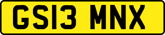 GS13MNX