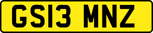GS13MNZ