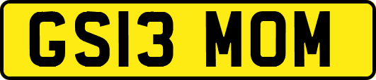 GS13MOM