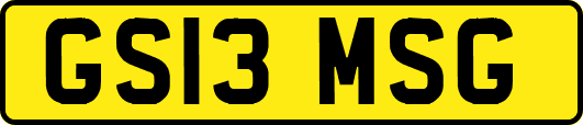 GS13MSG