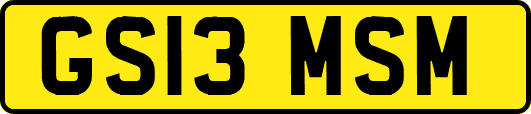 GS13MSM