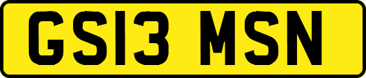 GS13MSN