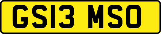 GS13MSO