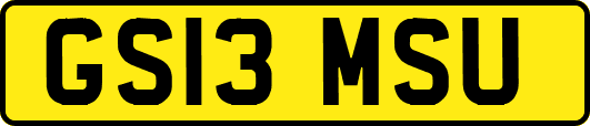 GS13MSU