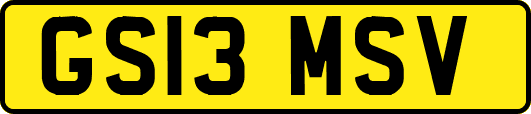 GS13MSV