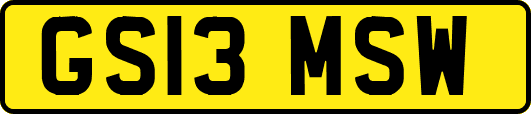 GS13MSW