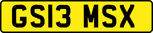 GS13MSX