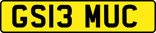 GS13MUC