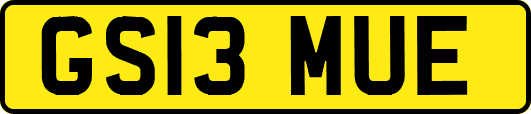 GS13MUE