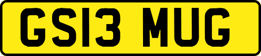GS13MUG