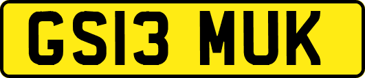 GS13MUK