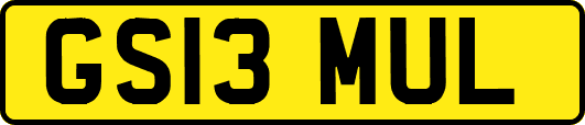 GS13MUL