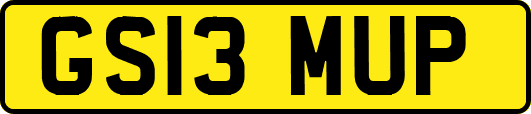 GS13MUP
