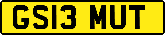 GS13MUT