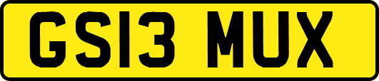 GS13MUX