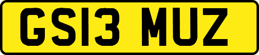GS13MUZ