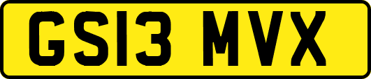 GS13MVX