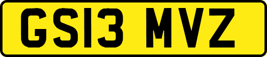 GS13MVZ
