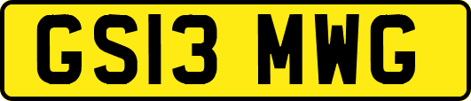 GS13MWG
