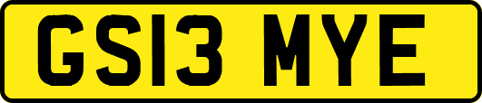 GS13MYE