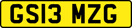 GS13MZG