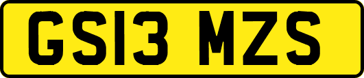 GS13MZS