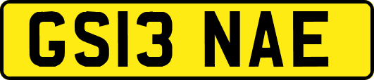 GS13NAE