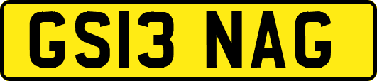 GS13NAG